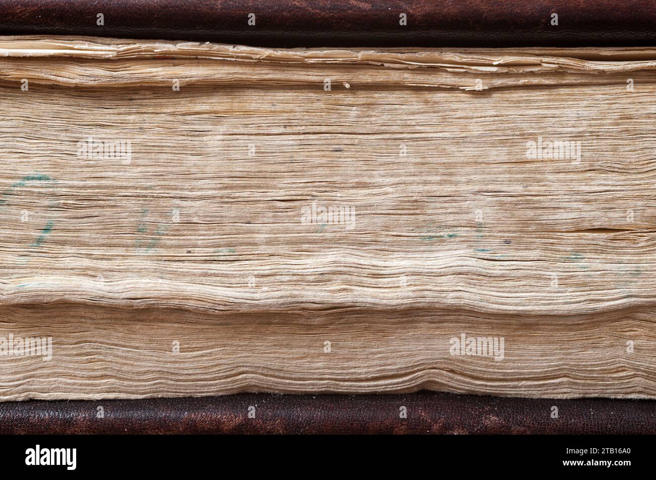 Un gros plan de la page de la vieille Bible Banque D'Images