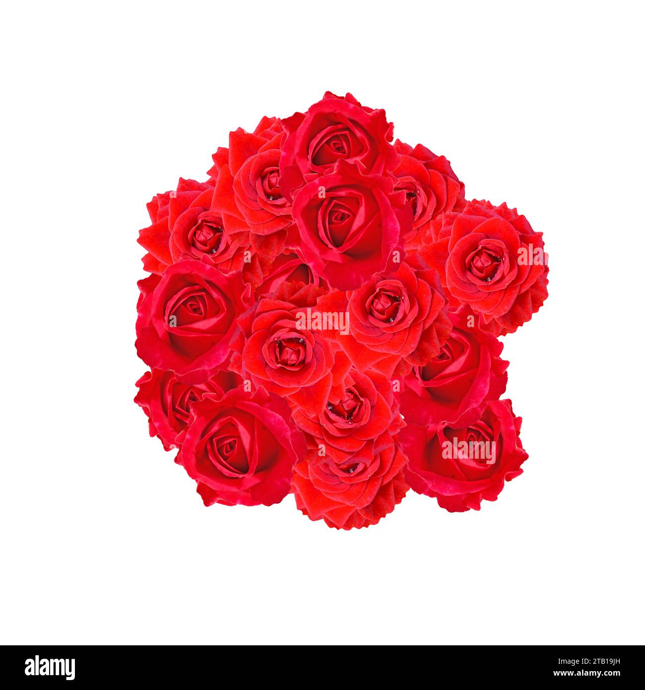 Un bouquet de roses rouges Banque D'Images