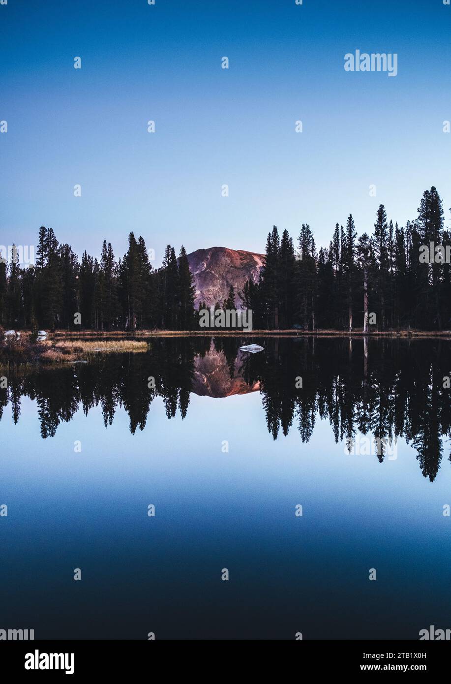 Montagne reflétée dans un lac alpin, Tioga Pass, Yosemity, Californie Banque D'Images