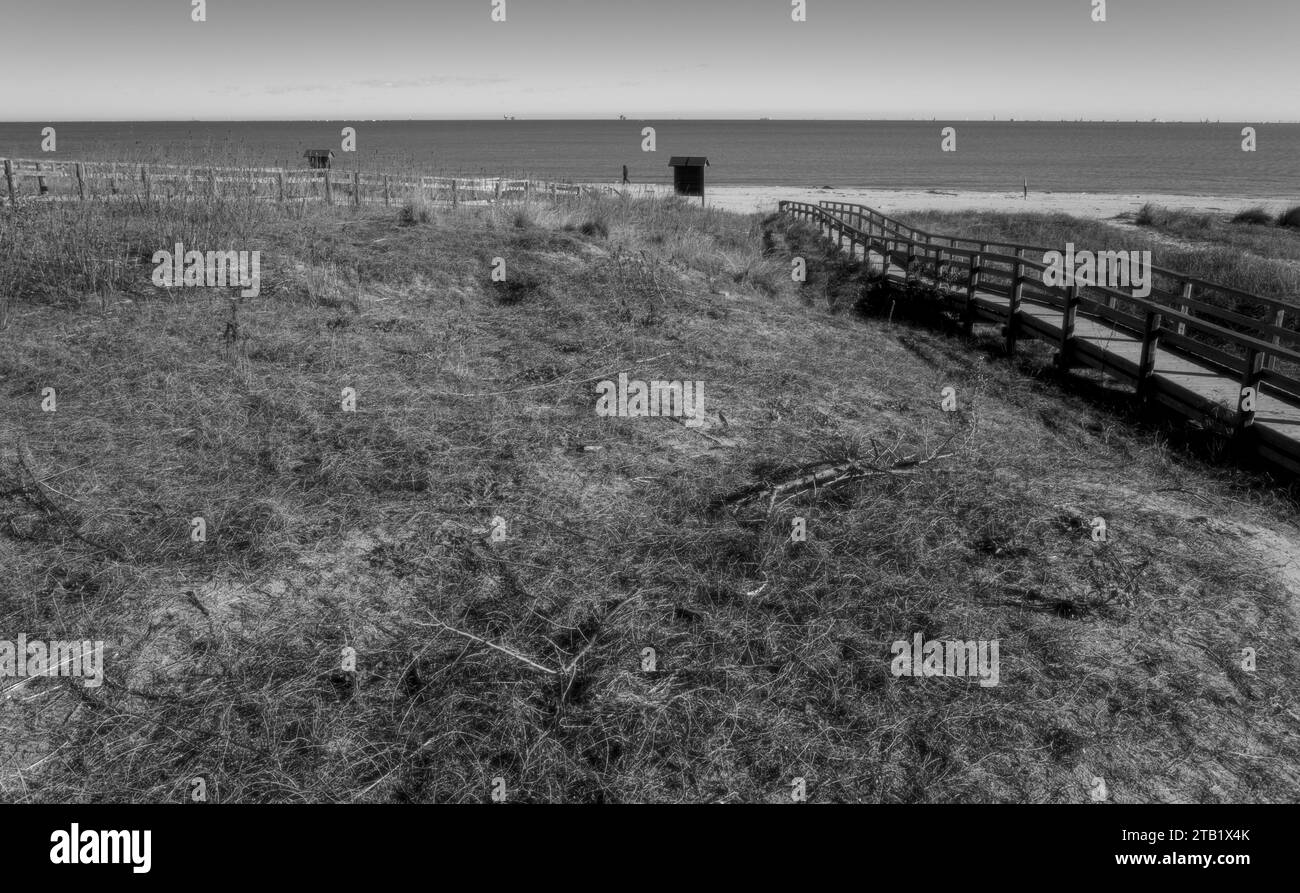 Entrée de plage en bois (Punta Marina, Italie) Banque D'Images