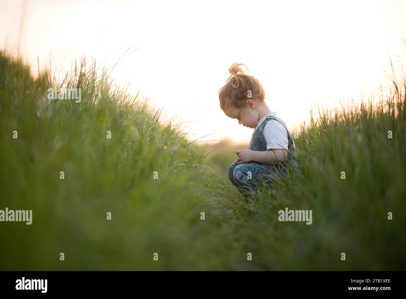 Une jeune fille s'assit dans de longues herbes au coucher du soleil Banque D'Images