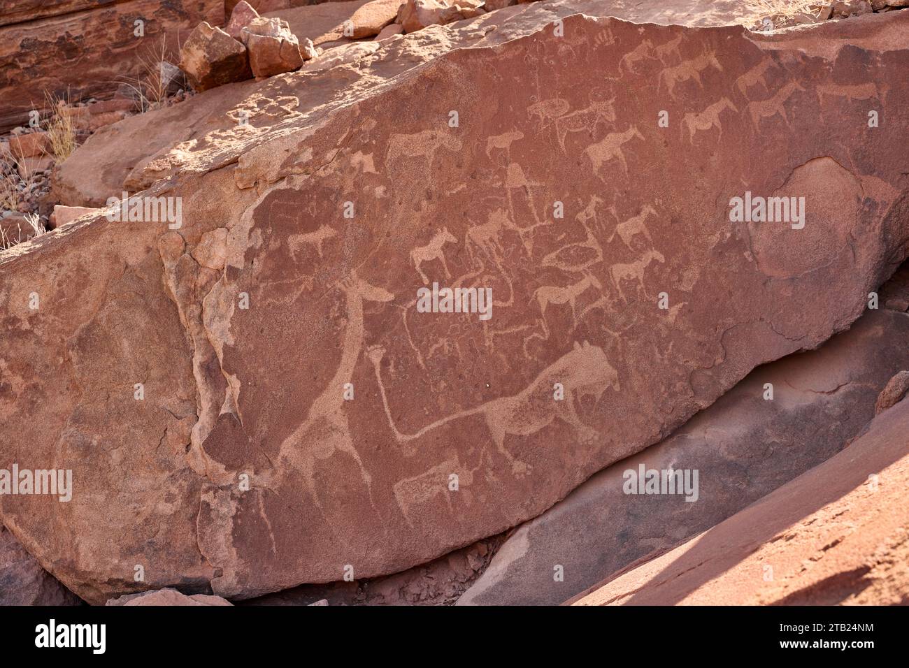 Gravures rupestres de Twyfelfontein, Damaraland, Namibie, Afrique Banque D'Images