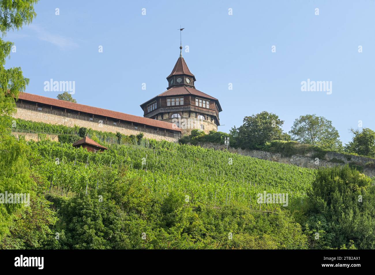 Stadtmauer, Dicker Turm, Esslingen, Bade-Württemberg, Deutschland Banque D'Images