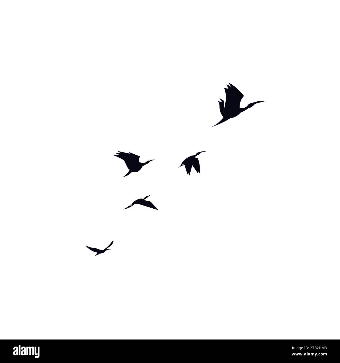 mouche d'oiseau en formation. logo animal oiseau. icône oiseau Illustration de Vecteur