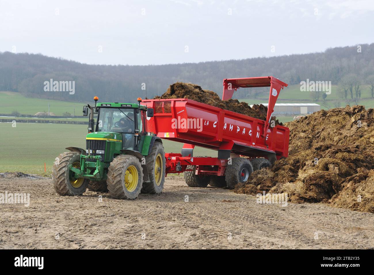 Nettoyage d'une stabling. Déchargement de la remorque : un tas de paillis transformé en fumier pour épandage dans les champs. Le compost, un mélange de beddi Banque D'Images