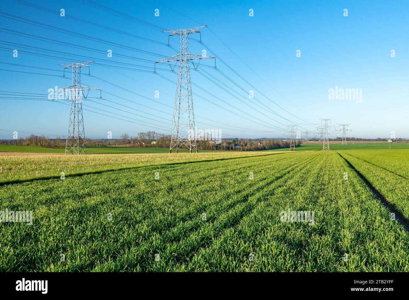 Pylônes haute tension EDF au-dessus d'un champ de blé dans le département de la Seine-Maritime (nord de la France) Banque D'Images