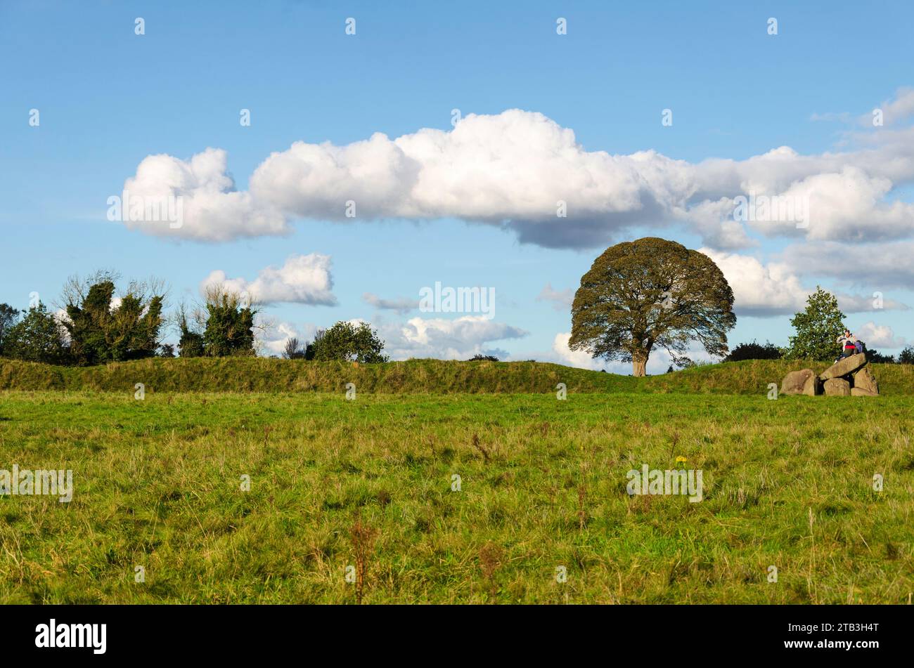 Belfast, comté de Down, Irlande du Nord octobre 22 2023 - vue du paysage de l'anneau des géants, y compris le monument henge et le grand arbre de plaine, Ballynahatty Banque D'Images