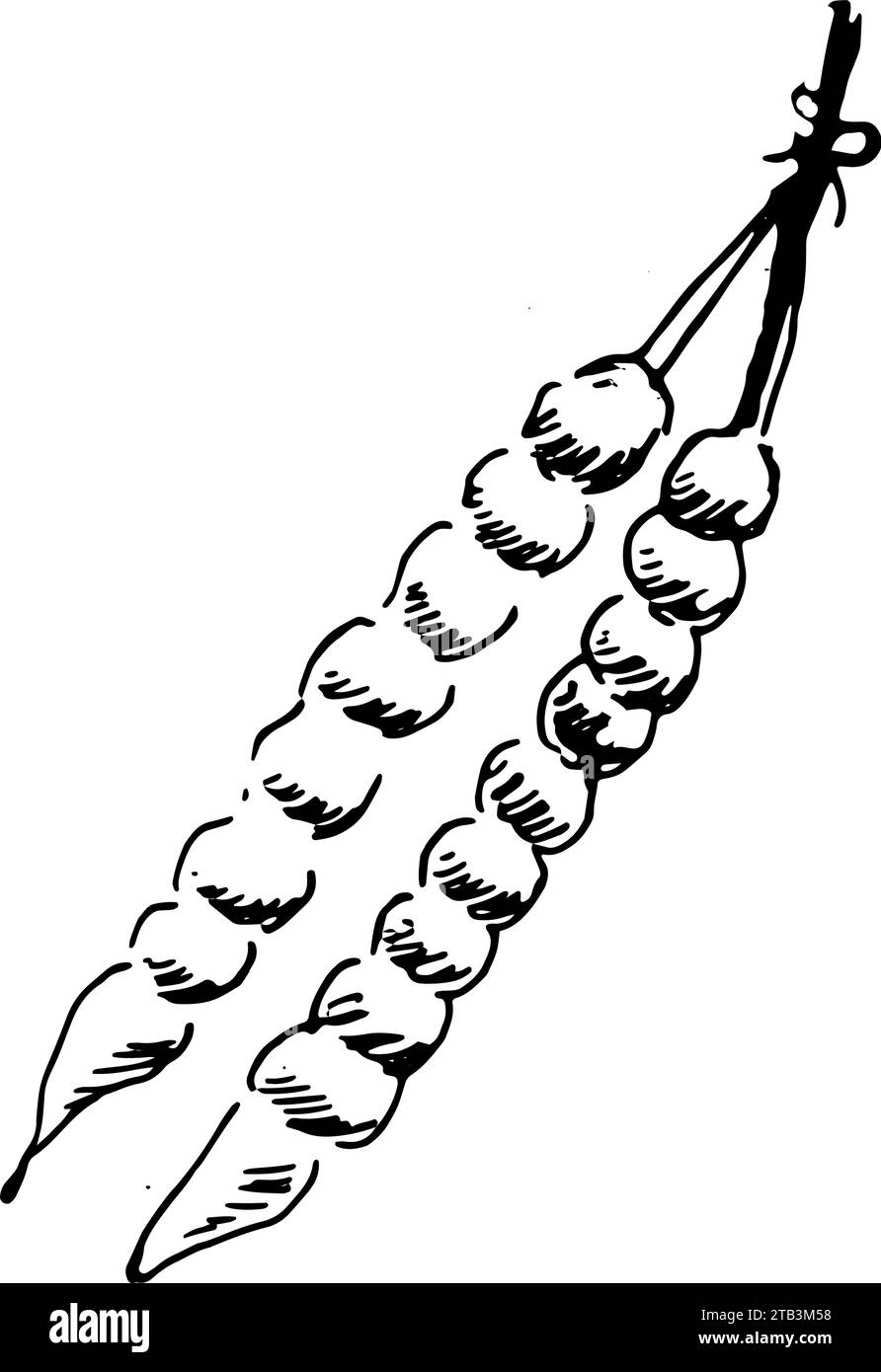 Bonbons au caramel géorgien avec des noix - churchkhela Illustration de Vecteur