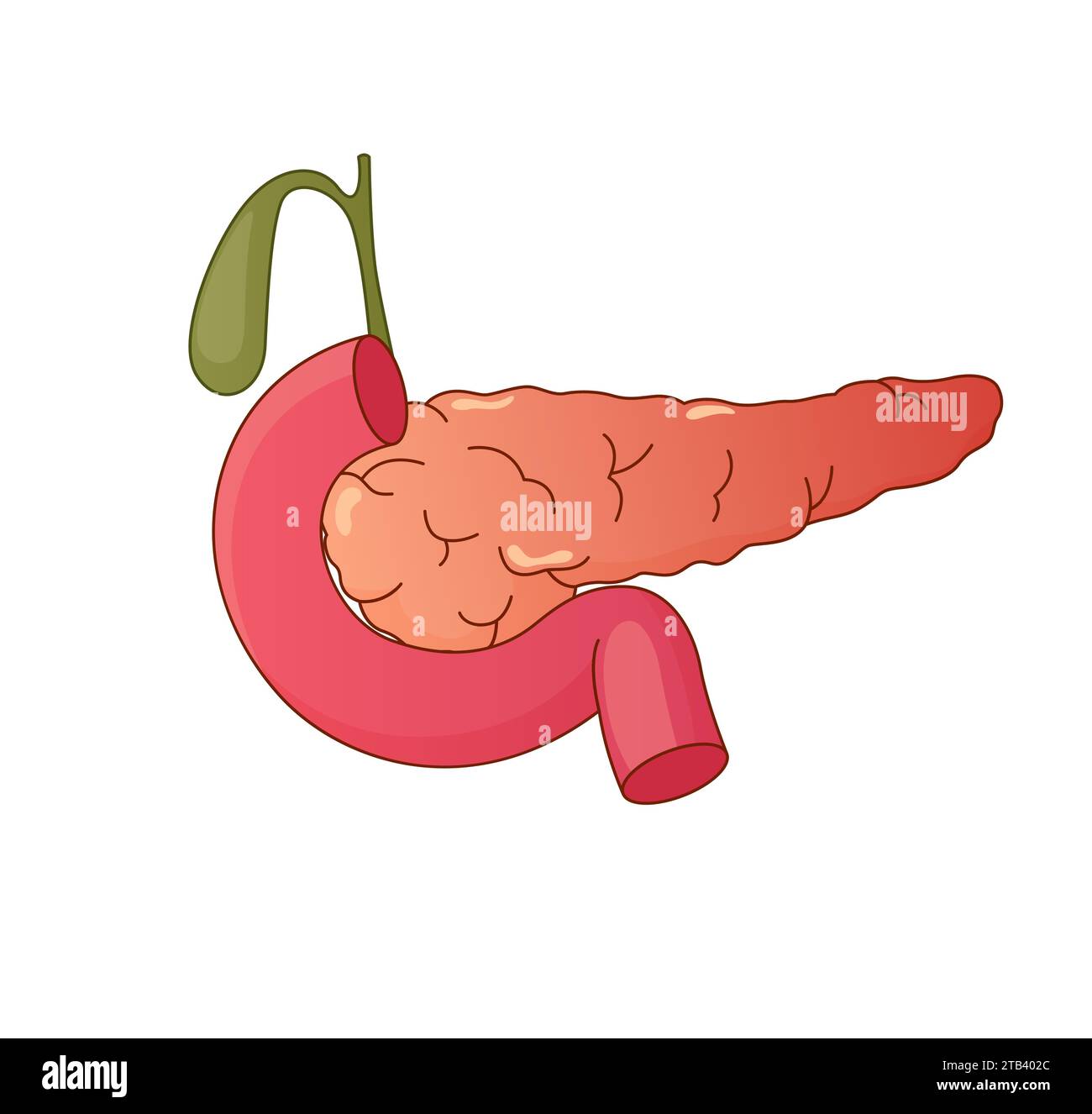 Illustration du stock d'icônes du pancréas sous forme de fichier EPS 10 Illustration de Vecteur