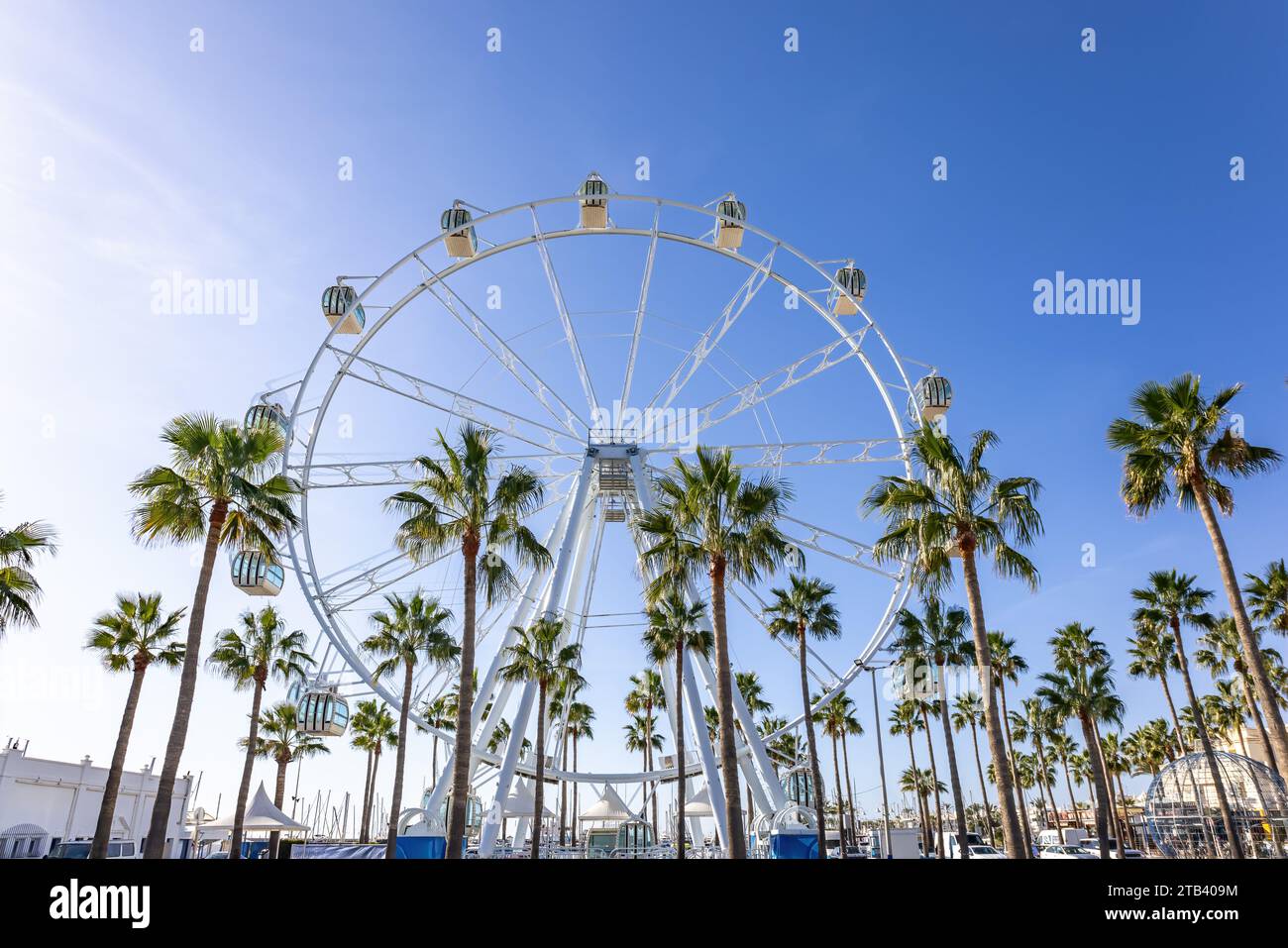 Benalmádena, Espagne - 25 novembre 2023 : Giant Ferris Wheel Mirador Princess, point de vue panoramique entre les palmiers à Puerto Marina, Benalmadena, mal Banque D'Images