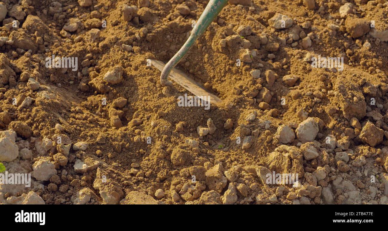 L'outil agricole est le champ de binage Banque D'Images