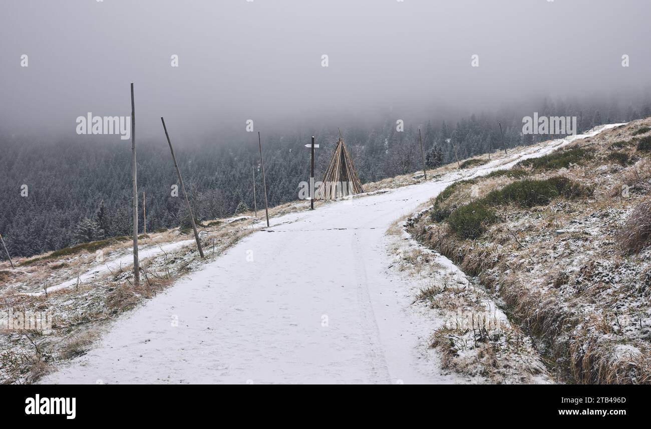 Paysage de montagne d'hiver des montagnes de Karkonosze, tonification de couleur appliquée, Pologne. Banque D'Images