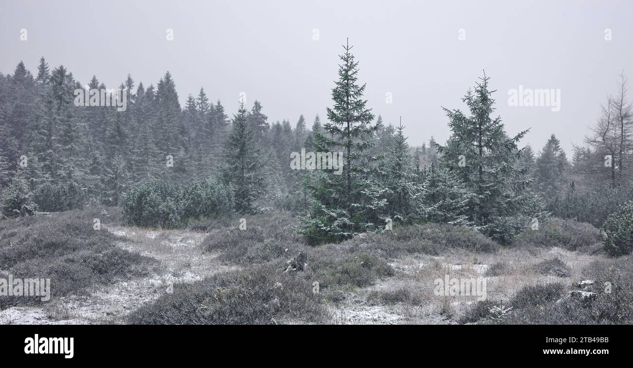 Paysage de montagne d'hiver des montagnes de Karkonosze, tonification de couleur appliquée, Pologne. Banque D'Images