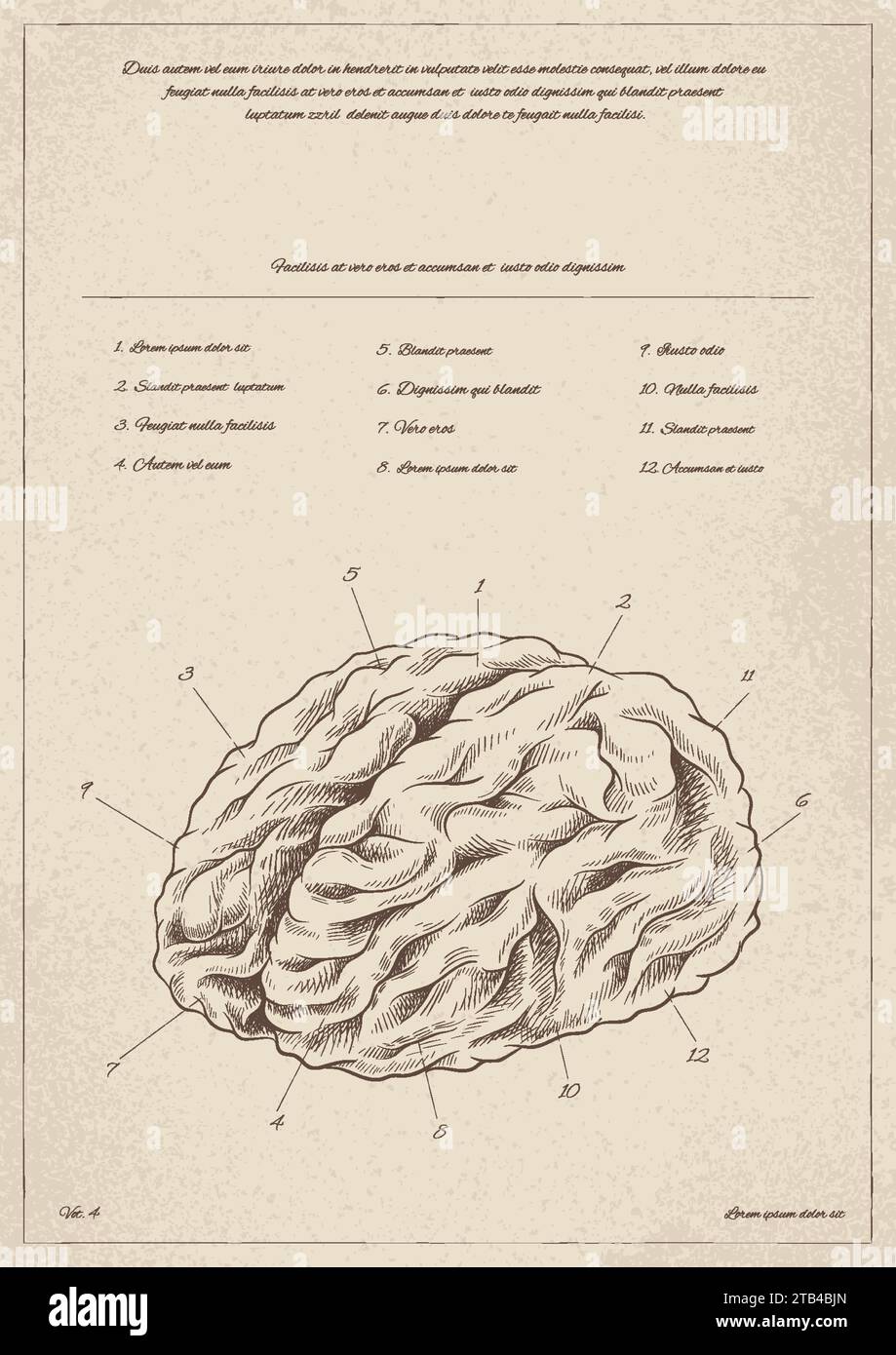 Affiche vintage médicale avec vecteur de cerveau Illustration de Vecteur