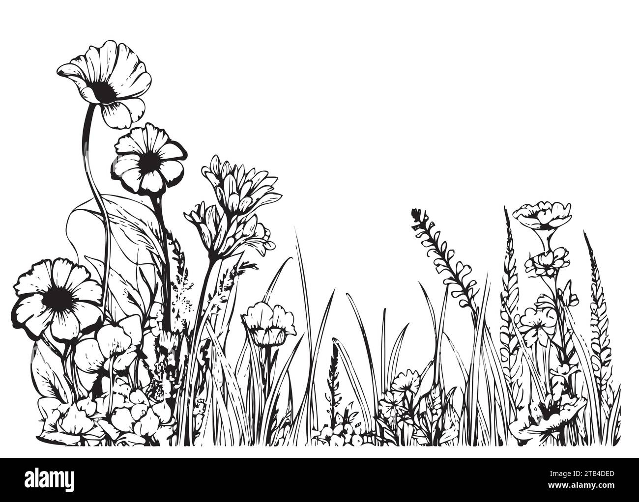 Bordure de champ de fleurs sauvages esquisse dessinée à la main dans le style doodle illustration vectorielle Illustration de Vecteur