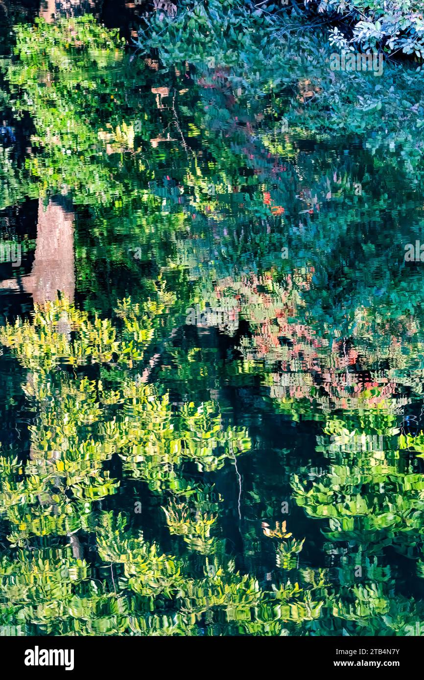 Arbre coloré feuilles vertes reflet de l'eau Abstract Furuichi kofungun eau entourant l'ancien terrier Habikino Osaka province Japon. Banque D'Images