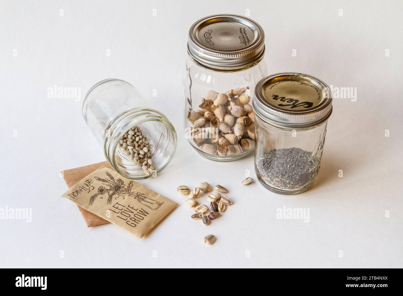 Bocaux en verre et enveloppes en papier avec des graines récoltées dans un jardin familial et triées pour le stockage dans le cadre d'un mode de vie frugal et durable. Banque D'Images