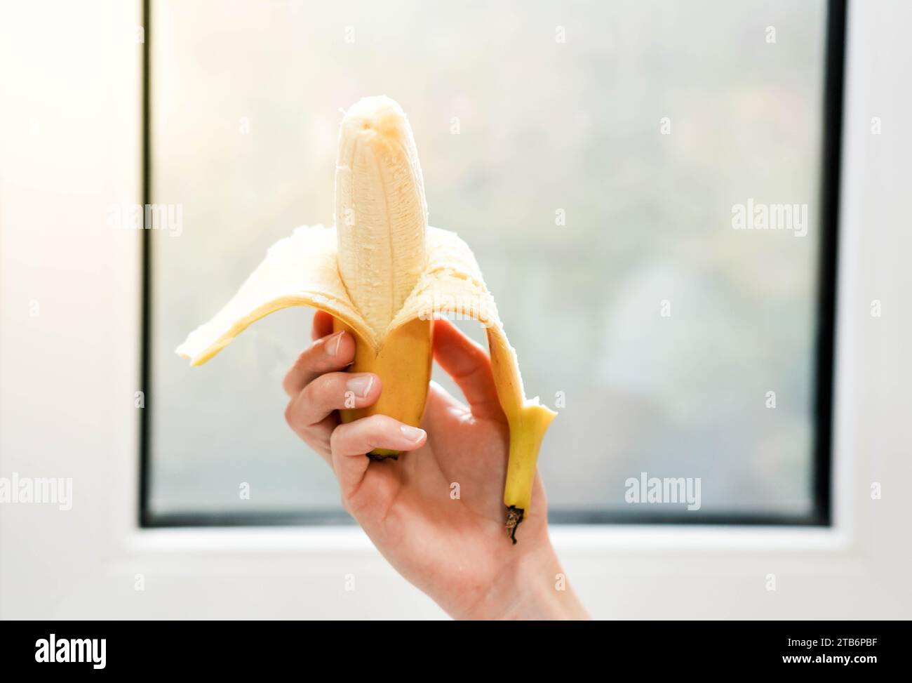 Vue rapprochée de banane déchirée devant la caméra tenue par la main de jeune femme. Banque D'Images