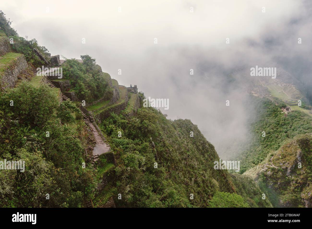Pente raide en terrasse de la montagne Huayna Picchu par le matin brumeux au Pérou Banque D'Images