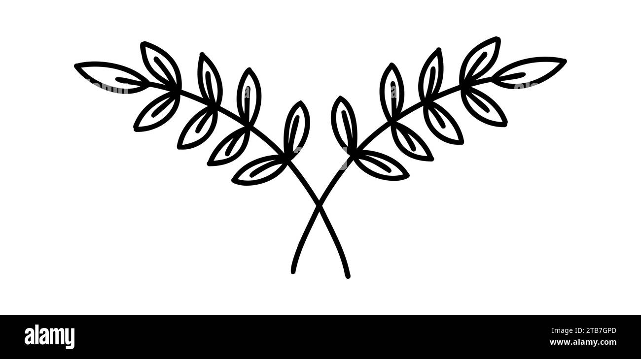 Séparateurs de texte floraux. Branches d'arbre avec des feuilles et des fleurs. Clipart de Laurier dessiné à la main vecteur. Illustration de Vecteur