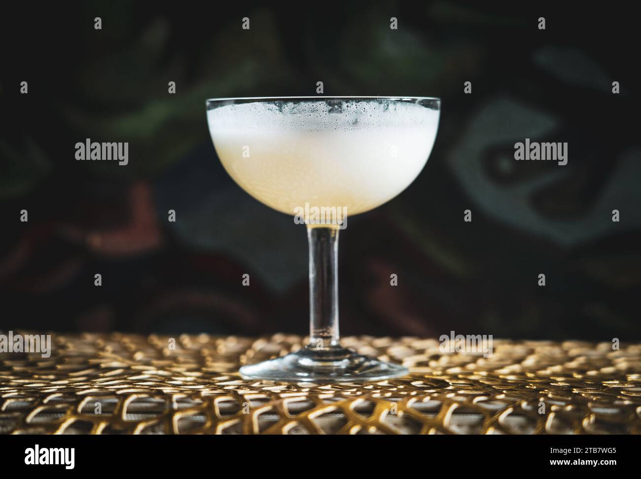 White Lady cocktail en petit verre à l'intérieur sans personnes, format paysage Banque D'Images