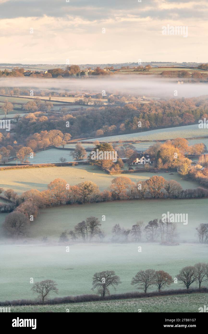 Campagne couverte de gel à l'aube près de Chillaton dans le Devon, Angleterre. Hiver (décembre) 2022. Banque D'Images