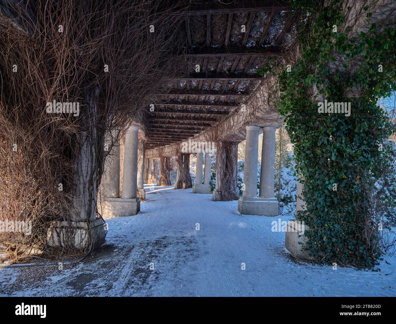 Centennial Hall Pergola jardin japonais Szczytnicki Park en hiver enneigé Wroclaw Basse-Silésie Pologne Banque D'Images