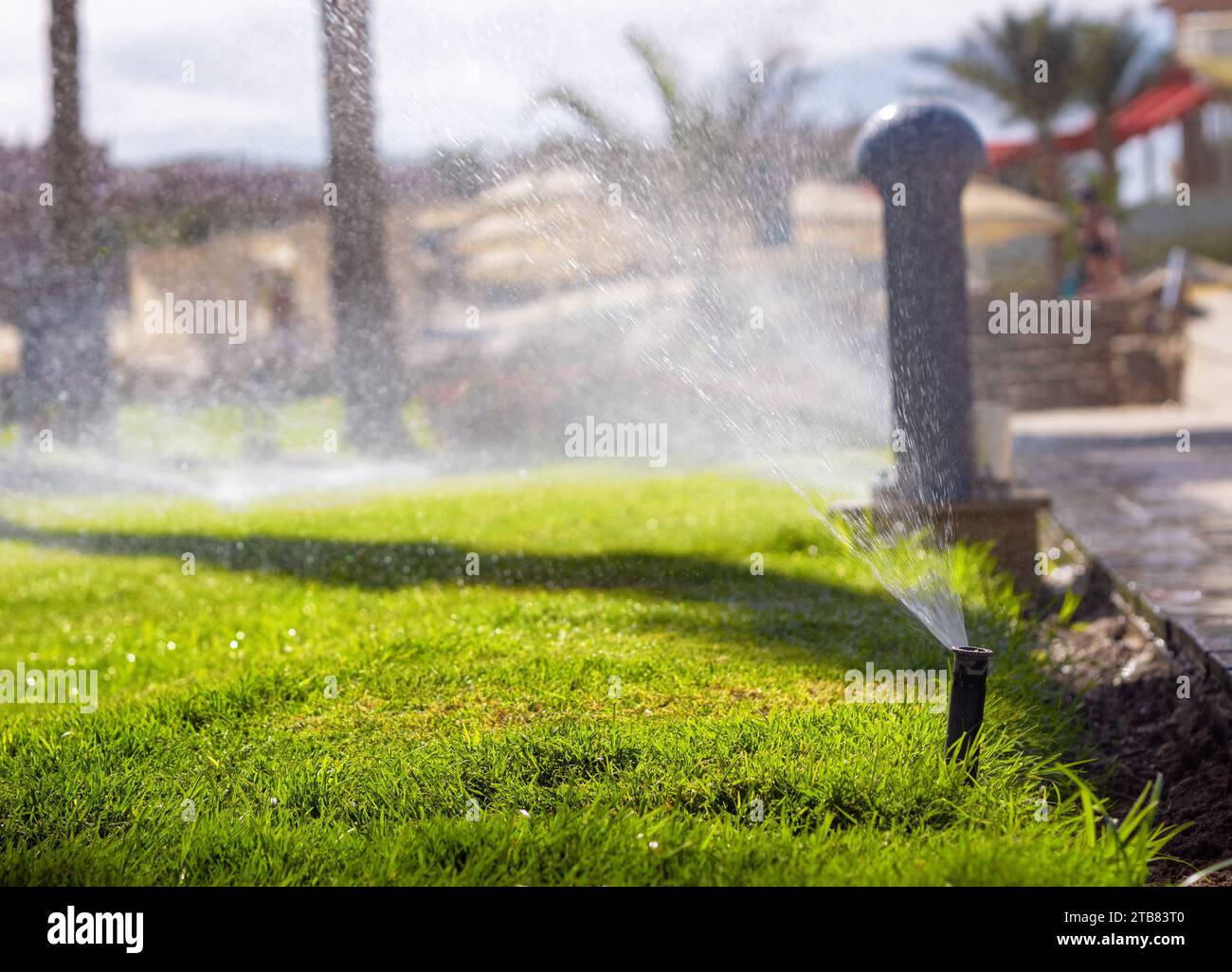 Irrigation de pelouse. Système d'arrosage automatique pour arroser la pelouse. Banque D'Images