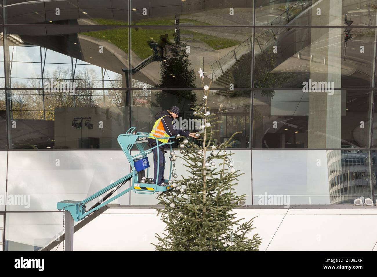 Ouvrier décorant un arbre de Noël Banque D'Images
