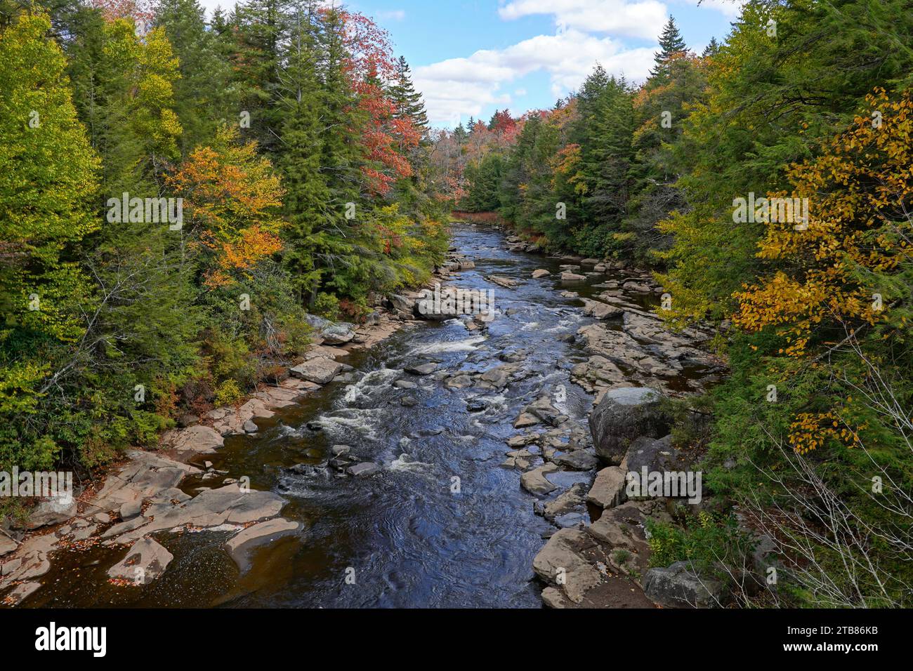 Blackwater River en Virginie-Occidentale à l'automne comme il coule à travers le Blackwater River State Park Banque D'Images