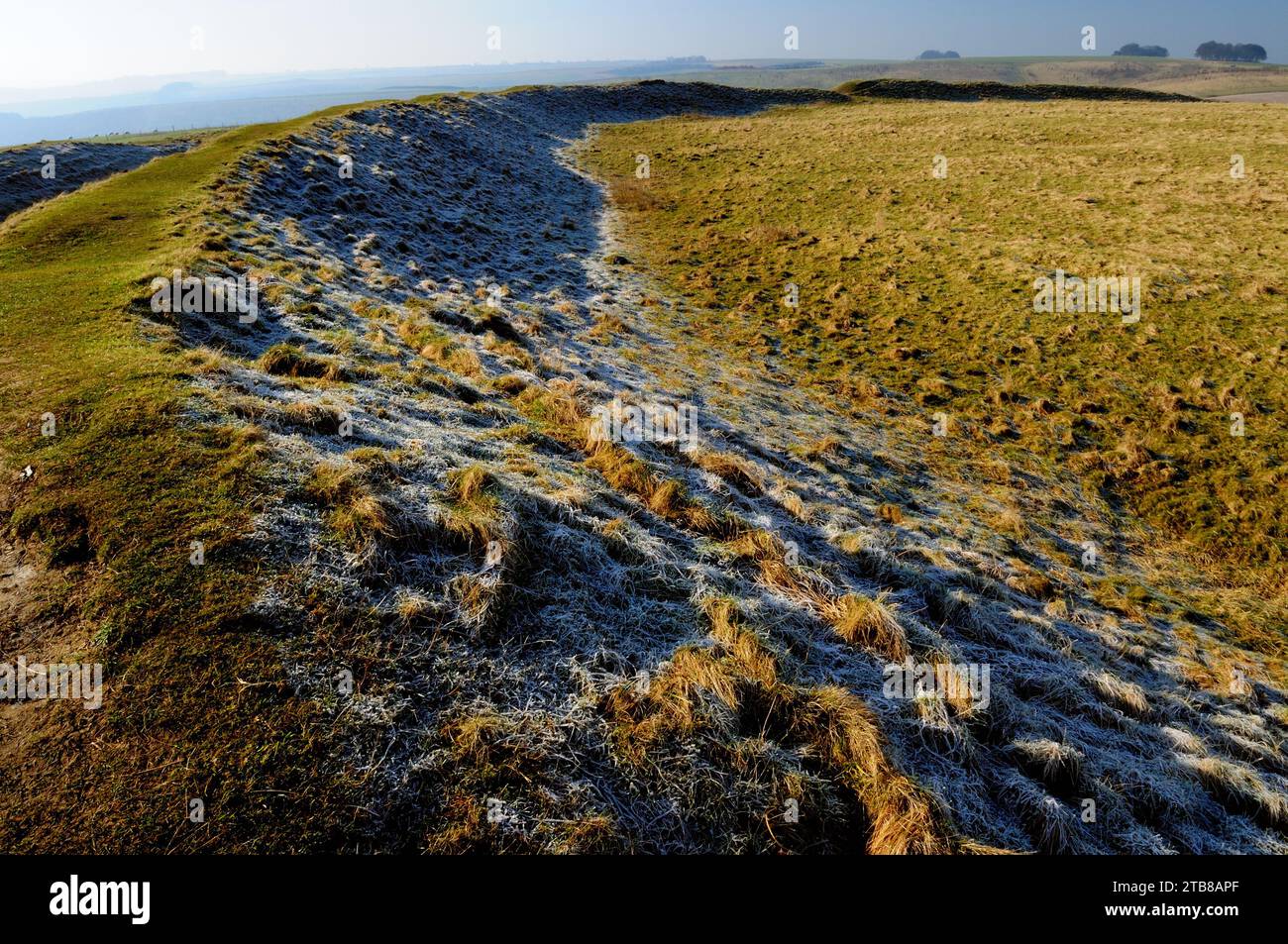 Une journée froide sur les remparts de Barbury Castle Hillfort près de Swindon, Wiltshire. Banque D'Images