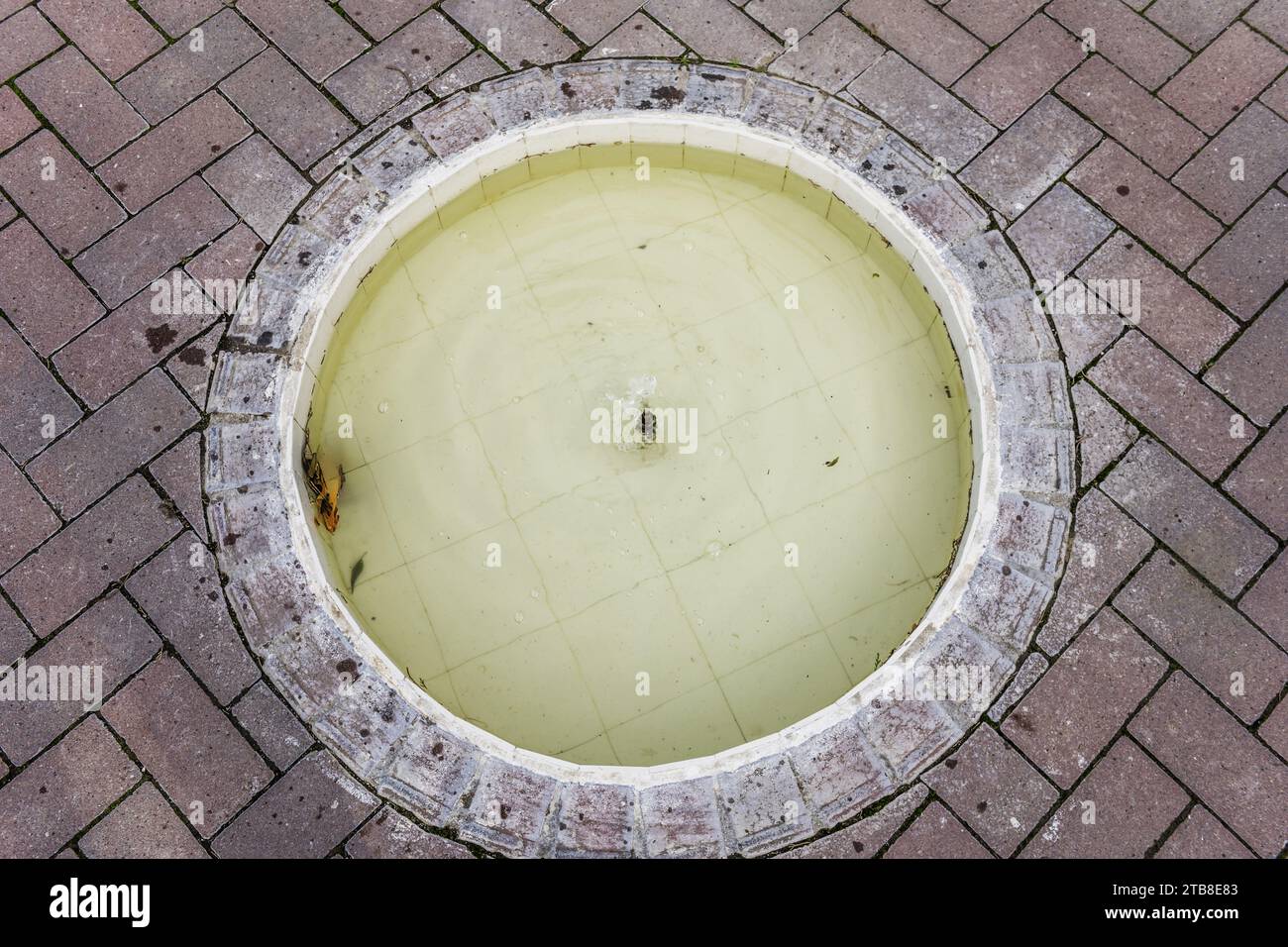 Une petite fontaine circulaire décorative Banque D'Images