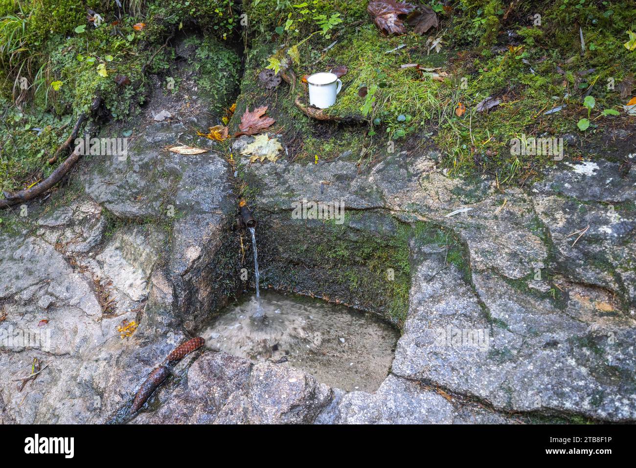 Le puits avec de l'eau courante creusé dans la roche. La gorge rocheuse Dolne diery dans le parc national de Mala Fatra, Slovaquie, Europe. Banque D'Images