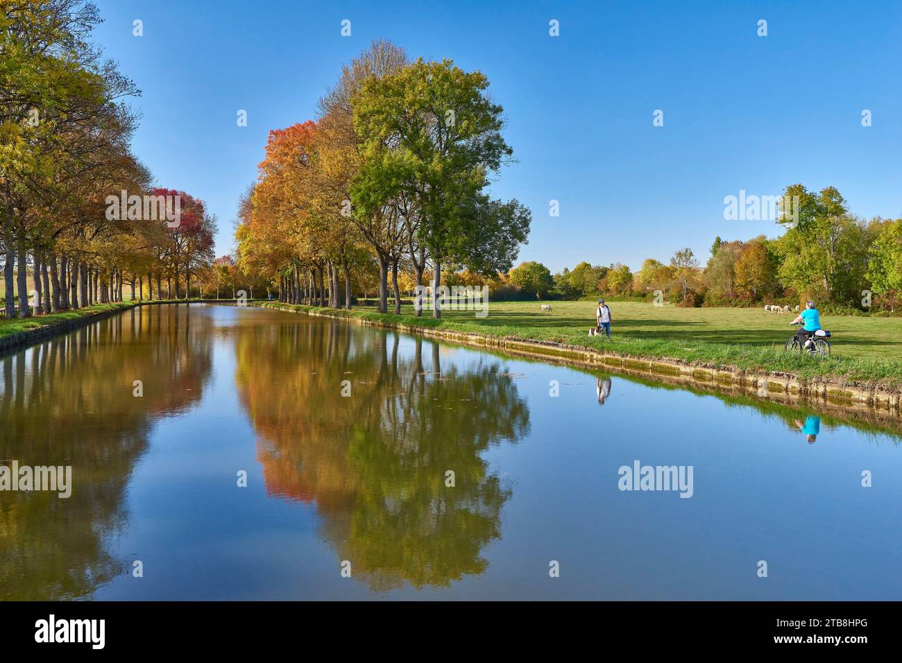 Le Canal de Bourgogne à l'écluse 12 à Revin, près de Vandenesse-en-Auxois (nord-est de la France). Balade à vélo sur les rives du canal, chemin de halage en autu Banque D'Images
