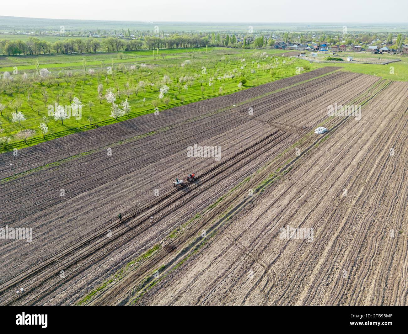 Vue aérienne des champs agricoles avec étang pour l'irrigation goutte à goutte pendant la période de floraison printanière Banque D'Images