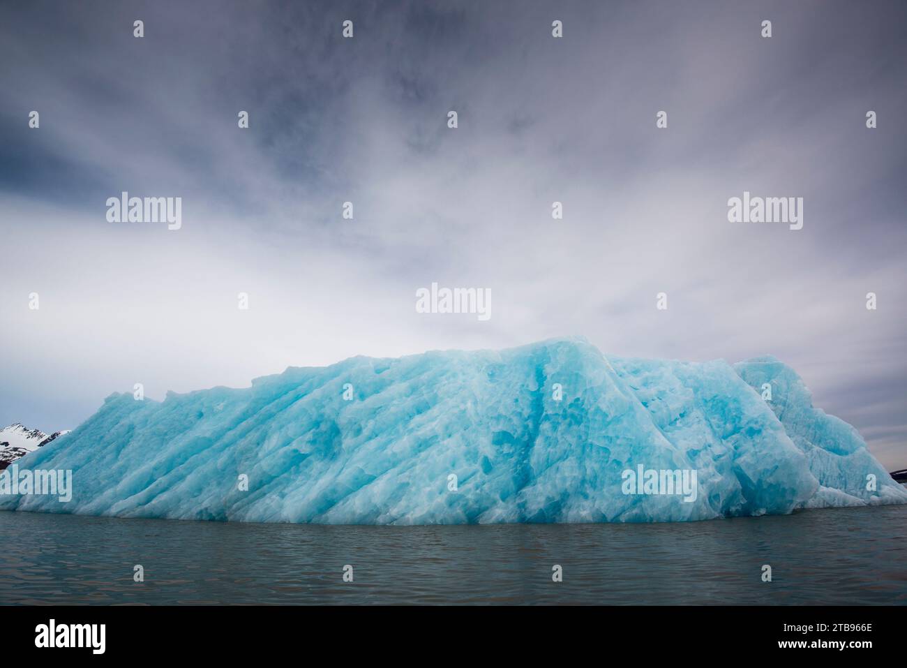 La glace du glacier Monacobreen fait saillie dans la mer ; Spitzberg, Svalbard, Norvège Banque D'Images