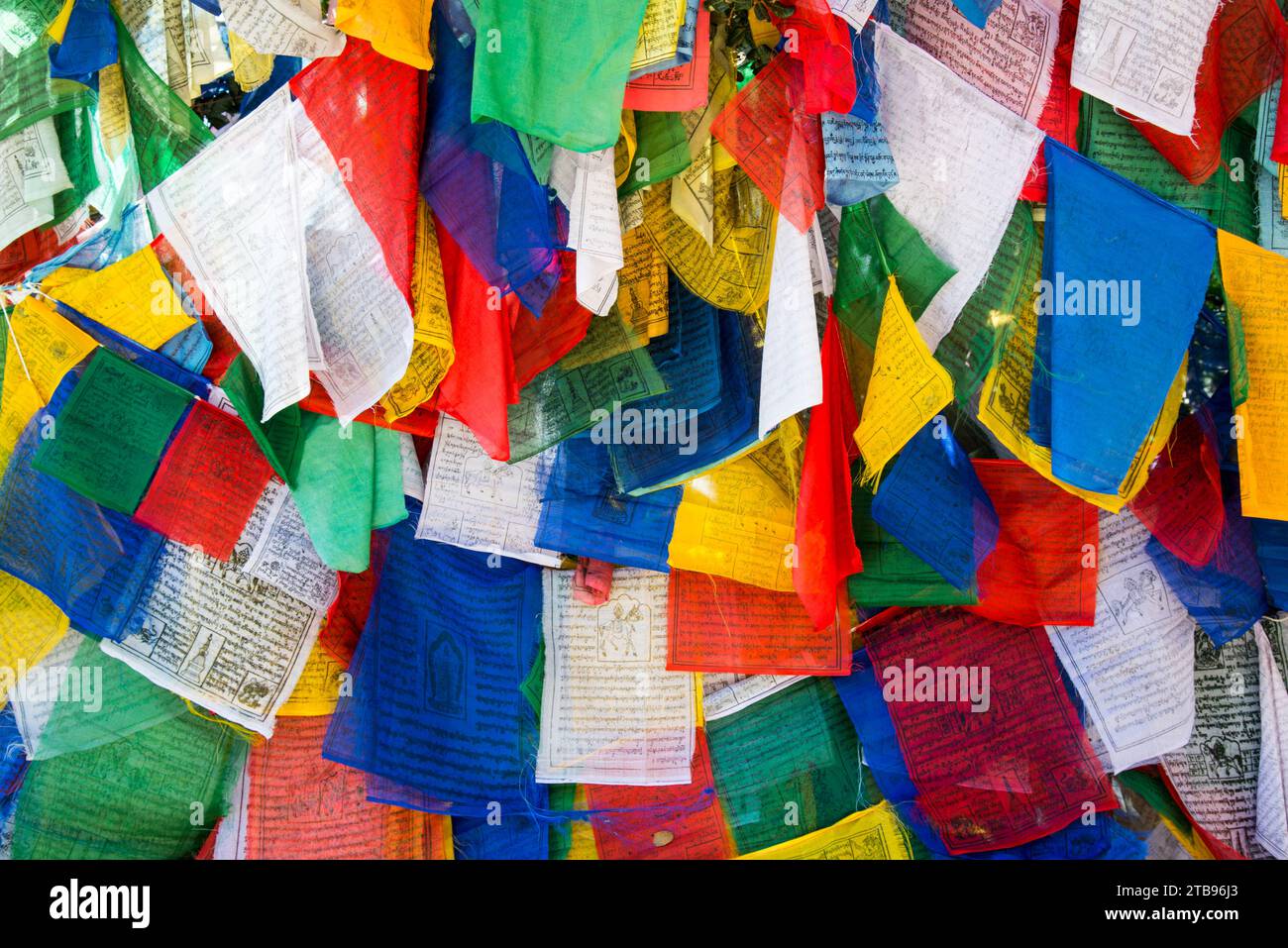 Drapeaux de prière au monastère du nid de tigre ; Paro, Bhoutan Banque D'Images