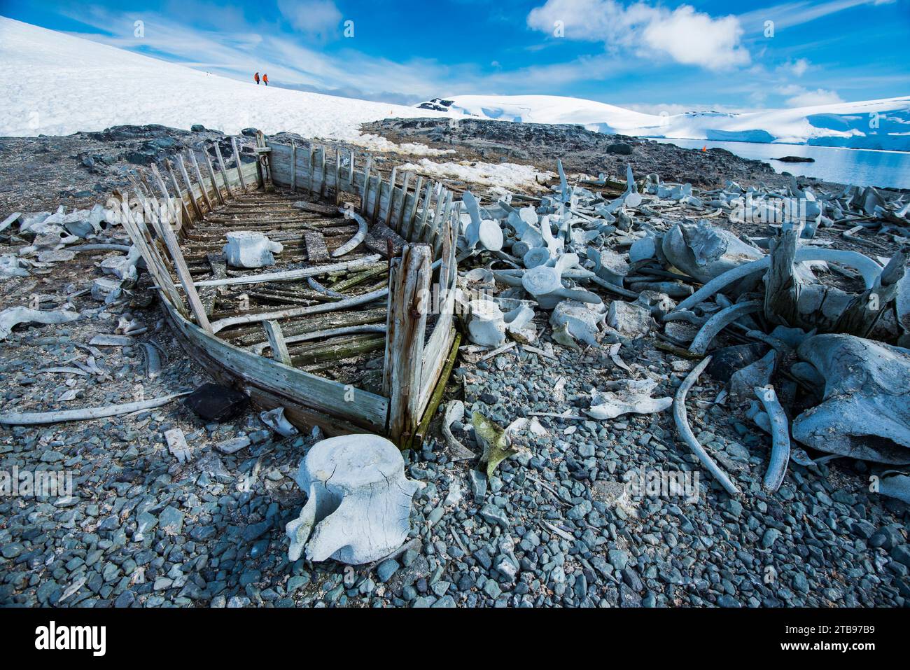 Vestiges historiques et ossements de baleines au port de Mikkelsen en Antarctique ; Antarctique Banque D'Images