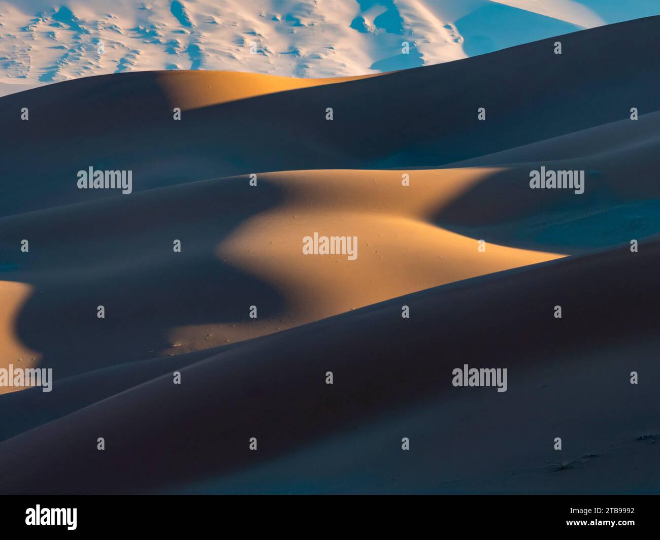 Dunes de sable illuminées par le soleil de fin d'après-midi dans le parc Namib-Naukluft ; Sossusvlei, Namibie Banque D'Images