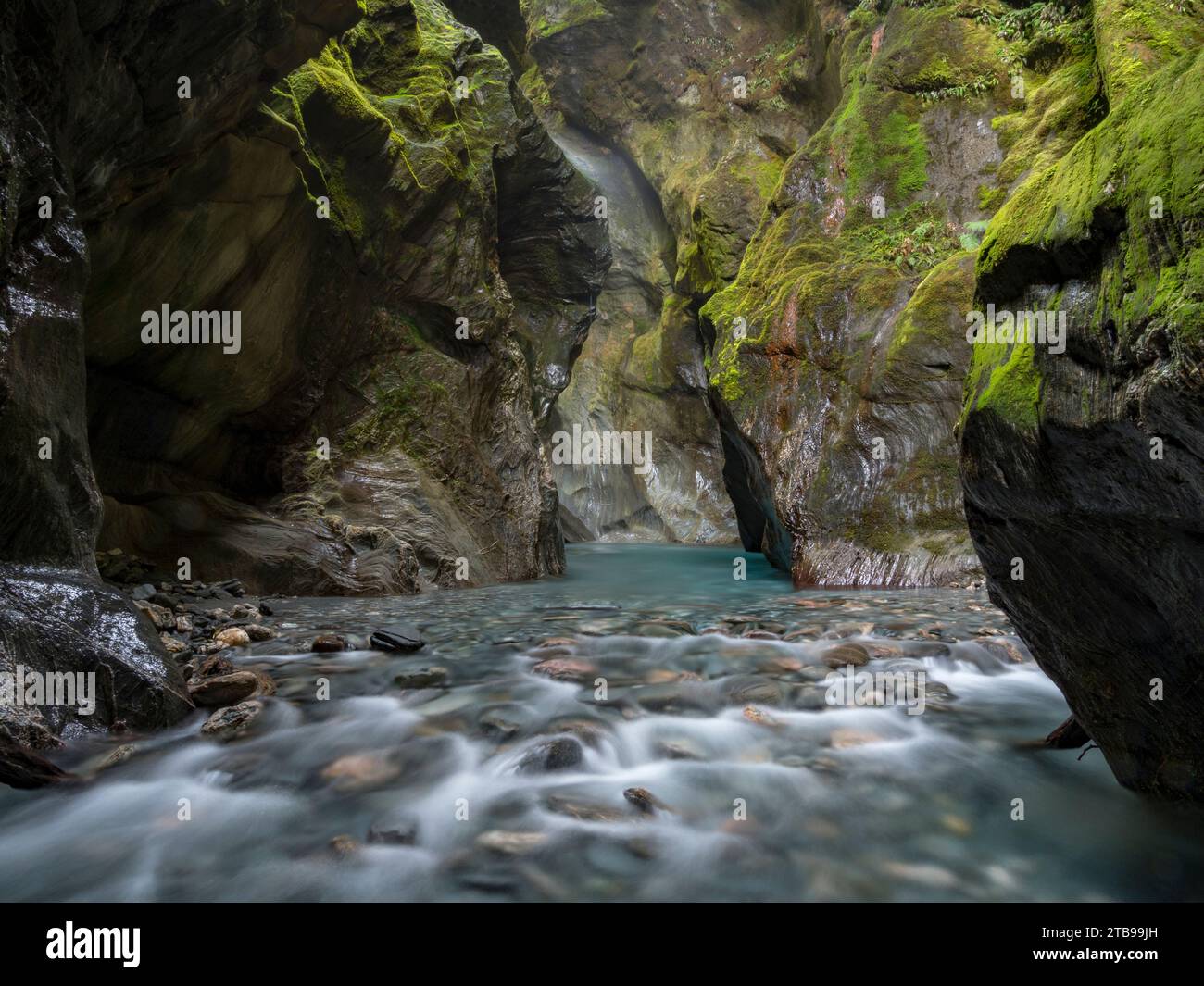 Ruisseau caché dans le parc national de Mount Aspiring. ; Haast, Île du Sud, Nouvelle-Zélande Banque D'Images