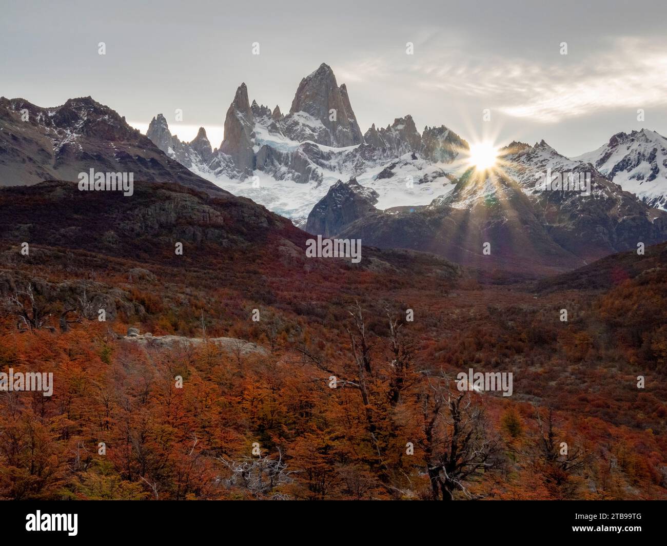 Vues le long de la randonnée d'une journée jusqu'au pic Laguna Torre avec la couleur d'automne des hêtres du sud, ou des arbres Nothofagus dans le parc national Los Glaciares Banque D'Images