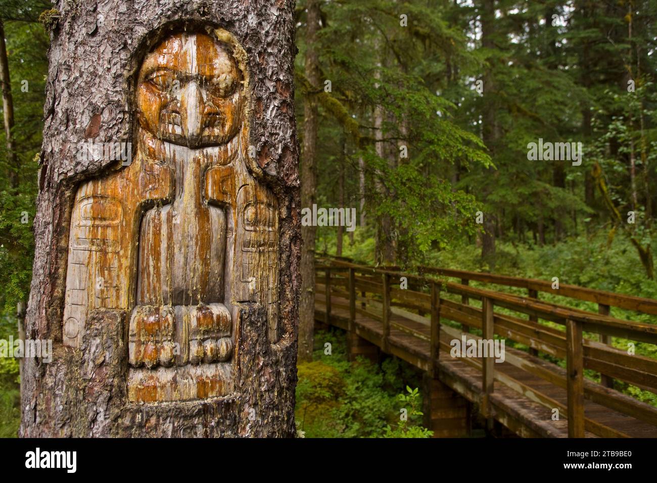 Tronc d'arbre sculpté par un artiste amérindien à Bartlett Cove dans le parc national de Glacier Bay, Alaska, États-Unis d'Amérique Banque D'Images