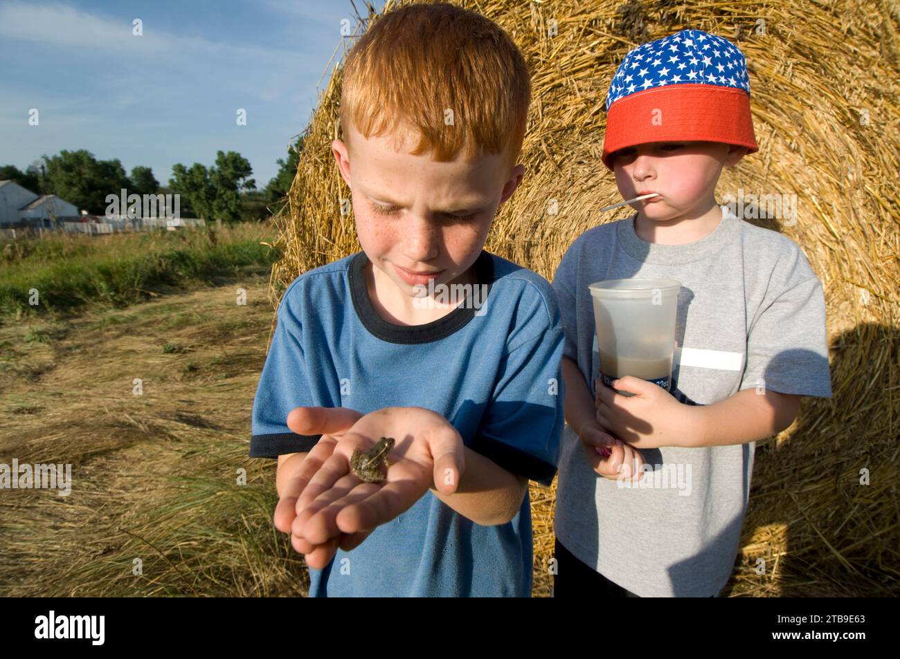 De jeunes garçons regardent une grenouille léopard des Plaines (Rana blairi) devant une balle de foin dans un champ de ferme ; Greenleaf, Kansas, États-Unis d'Amérique Banque D'Images