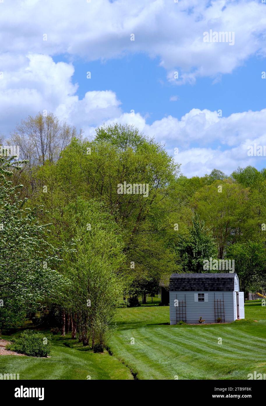 Gazon gris et vert manucurés et arbres feuillus Banque D'Images