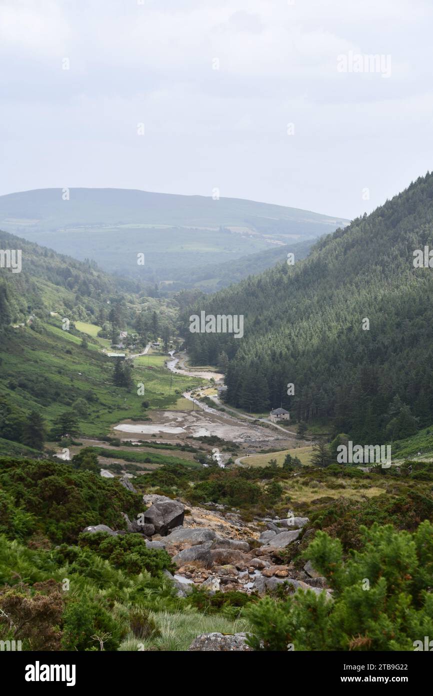Rivière dans la vallée des montagnes de Wicklow, Irlande Banque D'Images