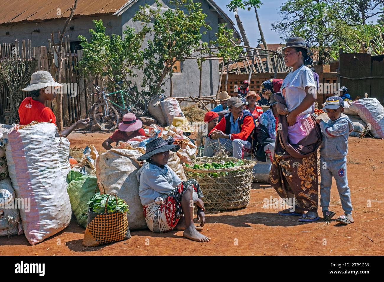 Vendeurs malgaches vendant des fruits et légumes au marché alimentaire dans les rues de la ville Ambalavao, haute Matsiatra, Hautes terres centrales, Madagascar, Afrique Banque D'Images