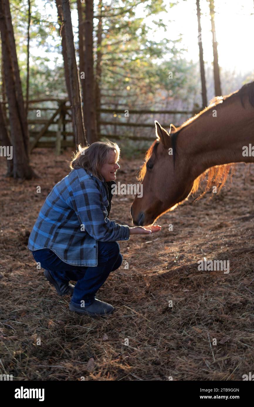 Agricultrice qui s'occupe d'une baie, cheval (Equus ferus caballus) sur sa ferme, animaux de Kara à Beckwith ; vallée de l'Outaouais, Ontario, Canada Banque D'Images