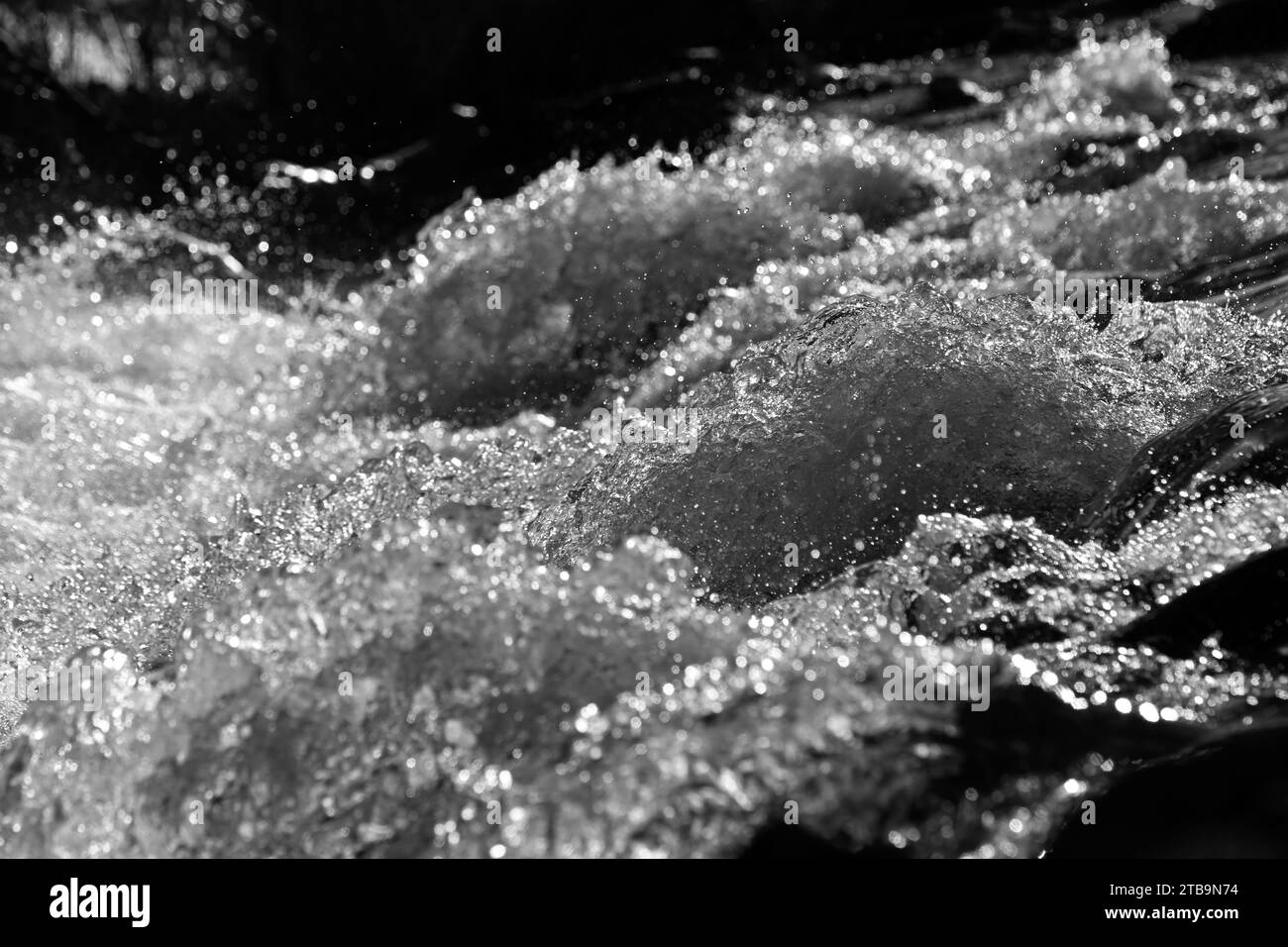 Capture dynamique des éclaboussures d'eau en mouvement près du Danube en noir et blanc Banque D'Images
