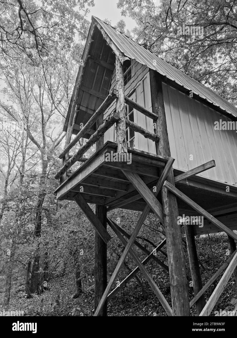 Cabane Smaill dans les bois sur un lit Dry Stream Bed B & W. Banque D'Images
