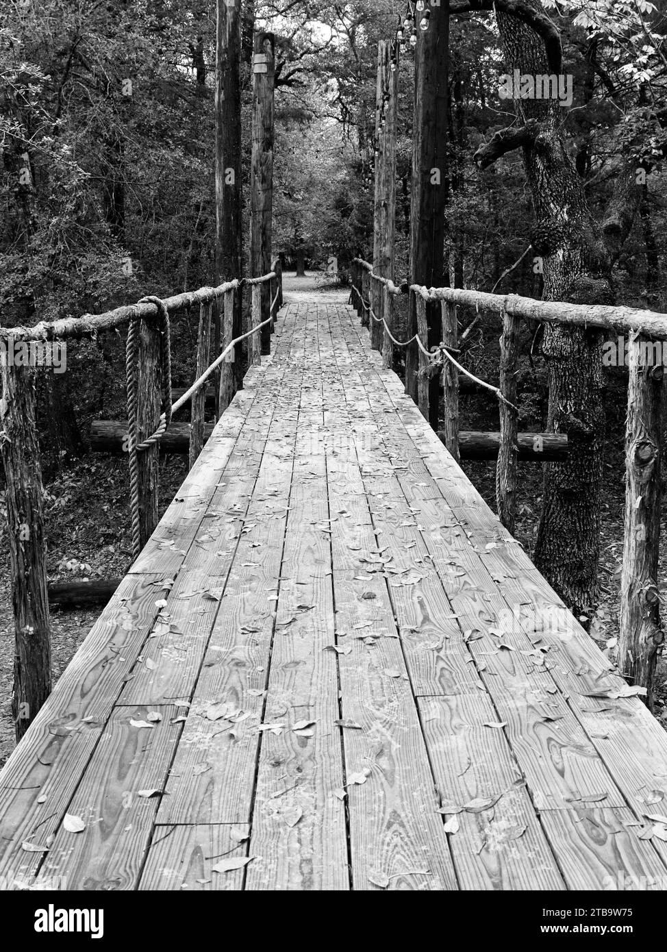 Pont en bois au-dessus du lit de ruisseau sec dans B&W. Banque D'Images